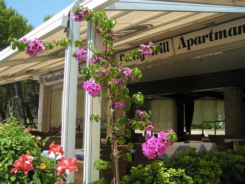 MINOLTA DIGITAL CAMERA