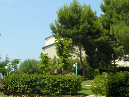 MINOLTA DIGITAL CAMERA